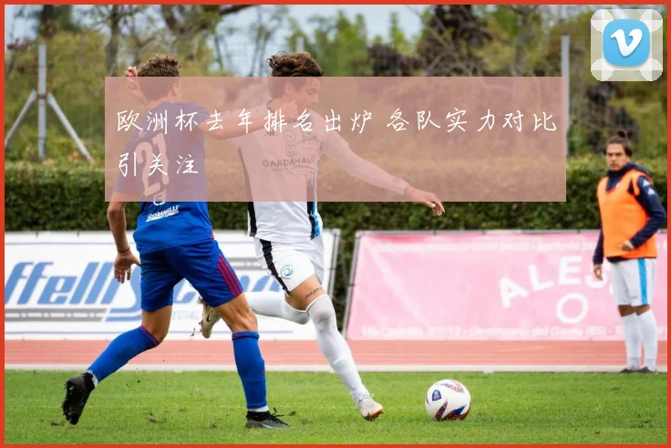 欧洲杯去年排名出炉 各队实力对比引关注