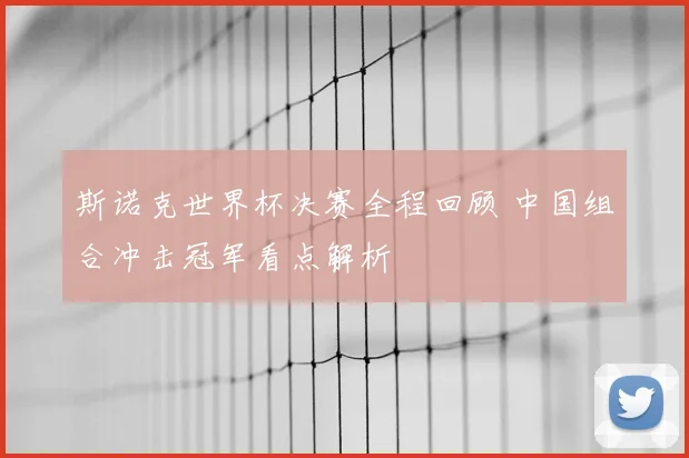 斯诺克世界杯决赛全程回顾 中国组合冲击冠军看点解析