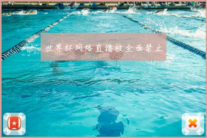世界杯网络直播被全面禁止