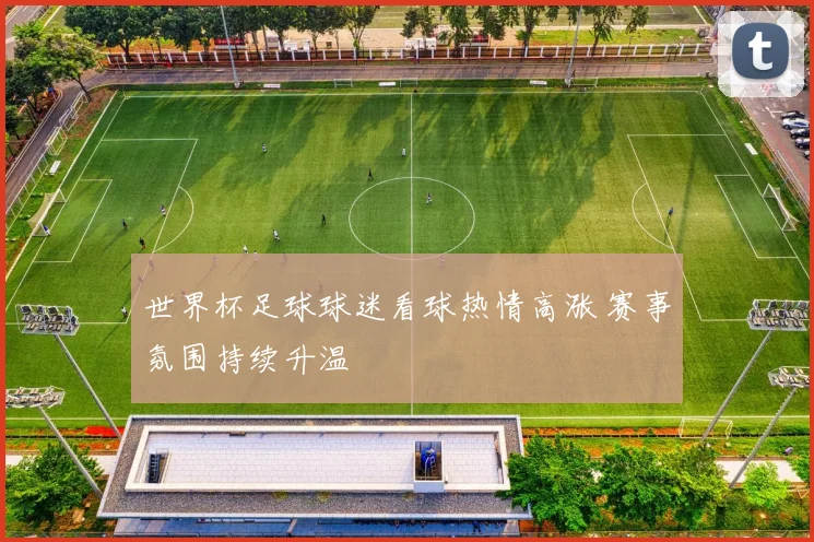 世界杯足球球迷看球热情高涨 赛事氛围持续升温