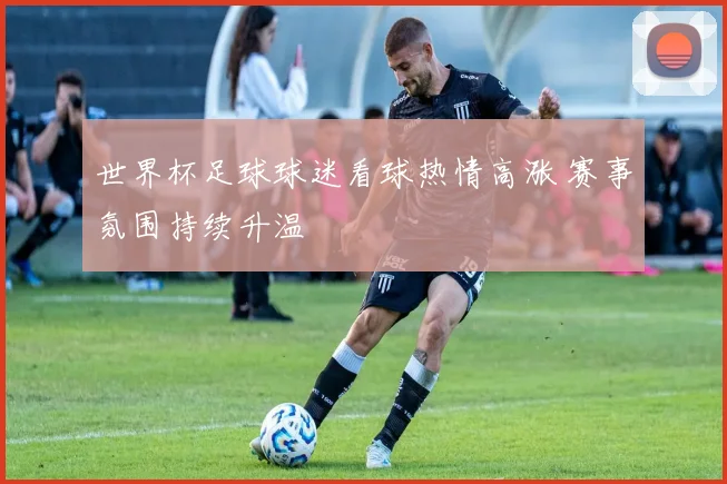 世界杯足球球迷看球热情高涨 赛事氛围持续升温