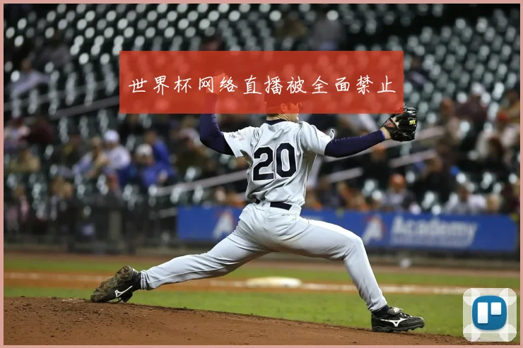 世界杯网络直播被全面禁止