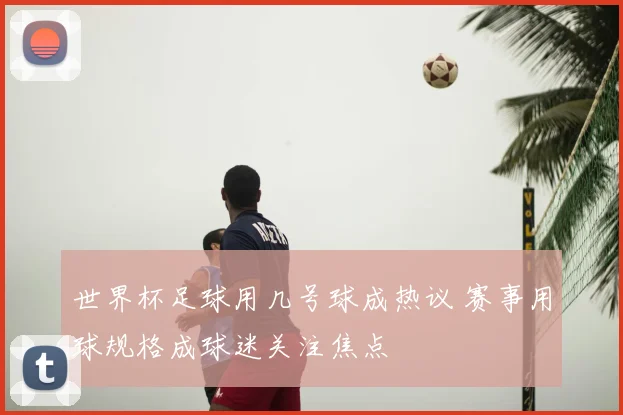 世界杯足球用几号球成热议 赛事用球规格成球迷关注焦点