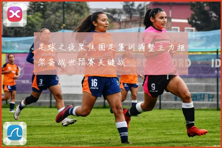 足球之夜聚焦国足集训调整主力框架备战世预赛关键战